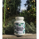 For Long Life Power of Proteolytic Enzymes 90 kapslí