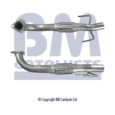 BM CATALYSTS BM50111