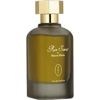 Flavia Pure Scent parfumovaná voda pánska 110 ml