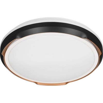 Activejet AJE-PETRUS 24W