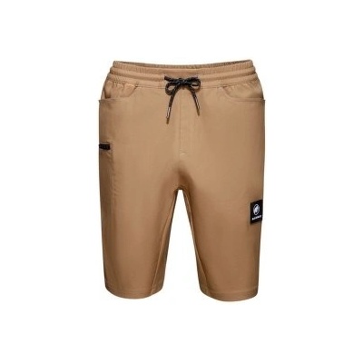 Mammut Massone shorts Men