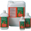 Advanced Hydroponics Growth/Bloom Excellerator 1 l