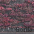 Sleep Token Even In Arcadia CD