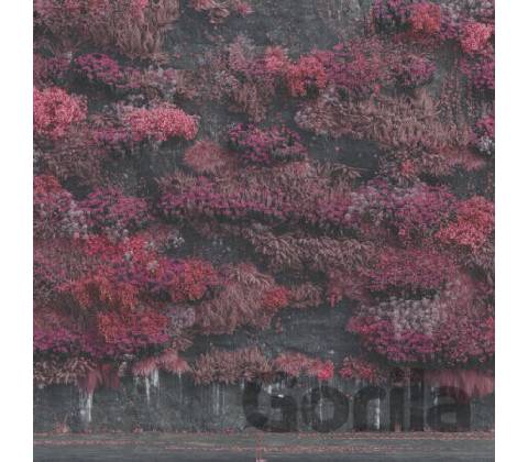 Sleep Token Even In Arcadia CD
