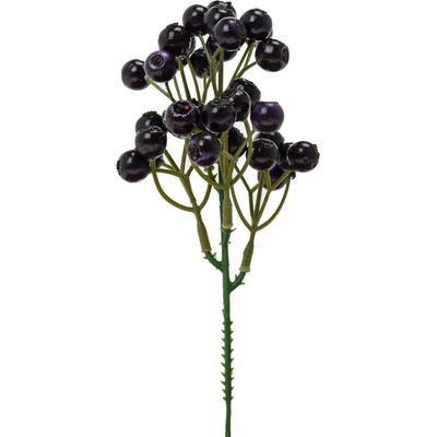 ZÁPICH ŠÍPKY FIALOVÉ 20cm