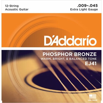 D'Addario EJ41 12-string Extra Light