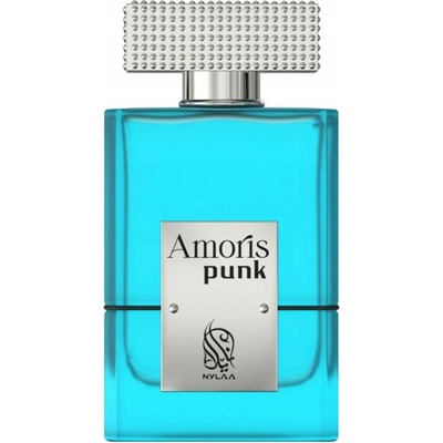 Nylaa Amoris Punk parfémovaná voda pánská 100 ml