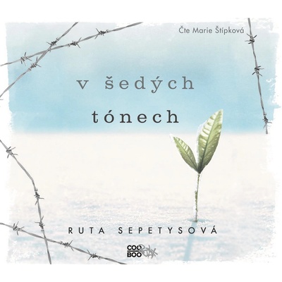 V šedých tónech