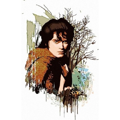 ZUTY Malování podle čísel MALOVANÝ FRODO PÁN PRSTENŮ Rozměr 40 x 50 cm Rámování bez rámu a bez vypnutí plátna