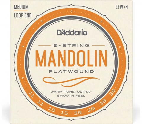 D'Addario EFW74