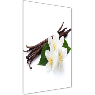 Vertikálny foto obraz sklo tvrdené Jazmín a vanilka 50x100 cm