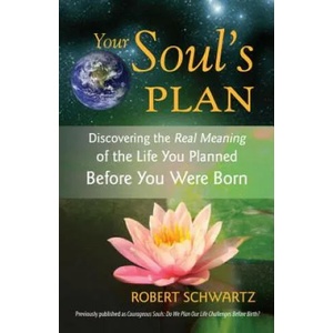 Your Soul's Plan (ISBN: 9781583942727)