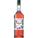 Giffard liči sirup 1 l