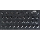 VIGOR V5099