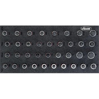 VIGOR V5099