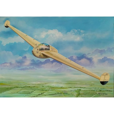 Fly Model Naleszkiewicz JN 1 1:72