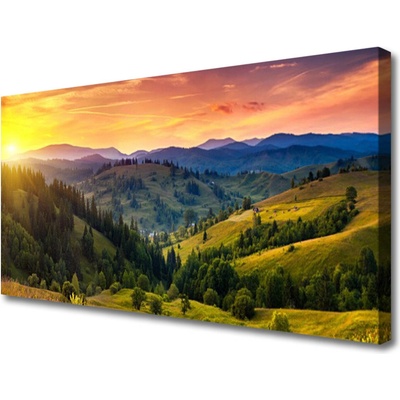 Obraz Canvas Krajina lúka západ 100x50 cm