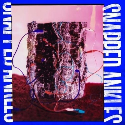 Snapped Ankles - FOREST OF YOUR PROBLEMS Vinyl