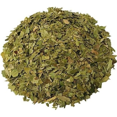 Zelené Drahokamy Ginkgo Biloba Jinan dvoulaločný list 1000 g