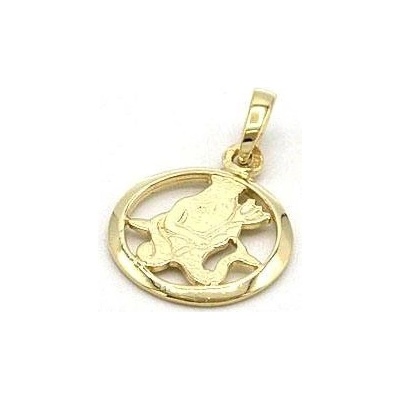 B&B Goldinvestic Zlatý přívěsek znamení vodnář v kruhu N4911