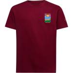 La Sportiva Мъжка тениска La Sportiva Always Climbing T-shirt - Redwood (216-8356-0411)