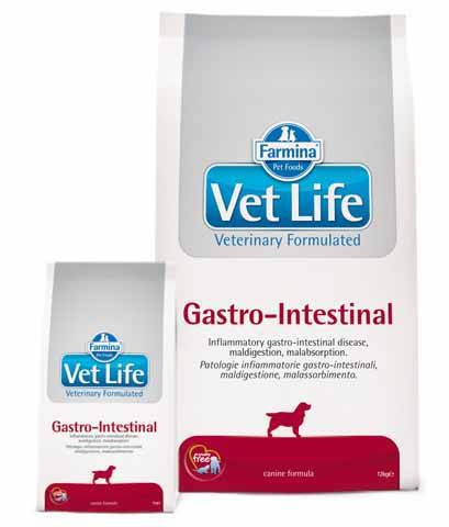 Vet
