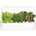 Click & Grow Smart Garden 9