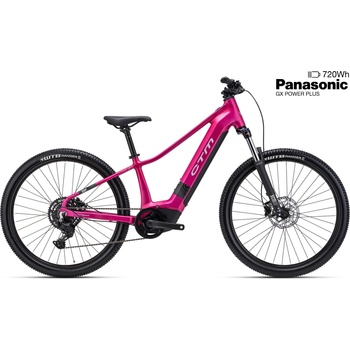 CTM RUBY GX 2026