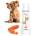BIOGANCE Twany apricot shampoo - за кучета с оранжева и кафява козина 250мл