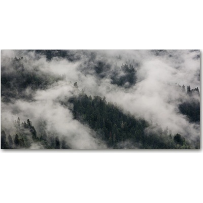 Foto obraz sklo tvrzené Hmla nad lesom 100x50 cm