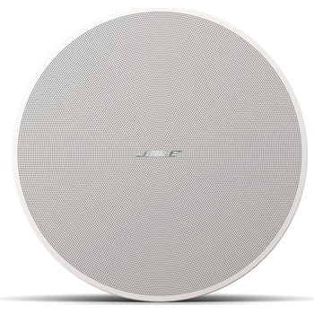 Bose DesignMax DM6C