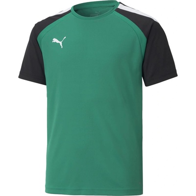 Puma team Rise Team t shirt 704932 18