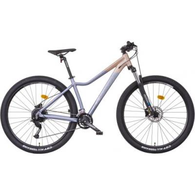 Mayo XC eR Tour Disc 2026