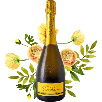 BiancaVigna Conegliano Valdobbiadene Prosecco Millesimato Extra Dry DOCG 0,75 l