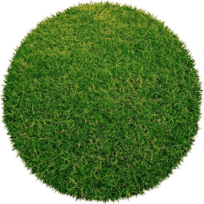 Europe Grass Botanic kruh zelená 360 x 360 cm