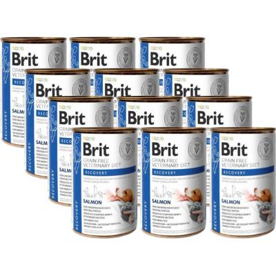 Brit Veterinary Diets GF cat & dog Recovery salmon 12 x 400 g