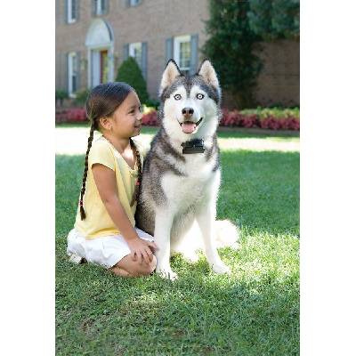 PetSafe elektronický rádiový plot pro veľké psy