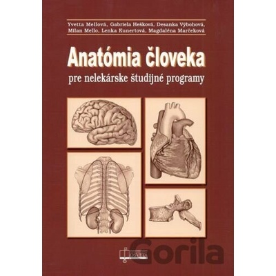 Anatómia človeka pre nelekárske študijné programy - Yvetta Mellová, Gabriela Hešková, Desanka Výbohová, Milan Mello, Lenka Kunertová, Magdaléna Marčeková