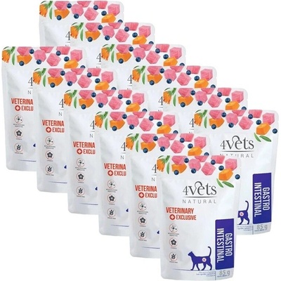 4Vets Cat Natural Veterinary Exclusive Gastro Intestinal 12 x 85 g