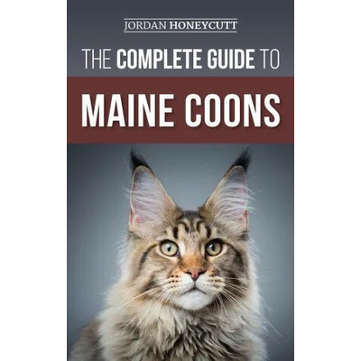 The Complete Guide to Maine Coons | Jordan Honeycutt