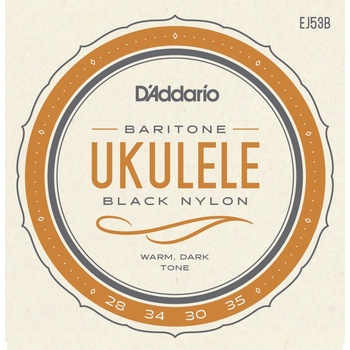 D'addario EJ53B