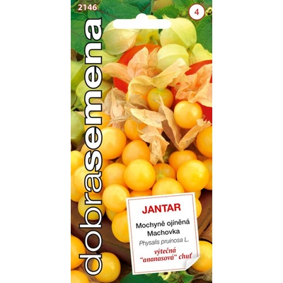 Dobrá semena Mochyně ojíněná - Jantar ananasová 0,2g