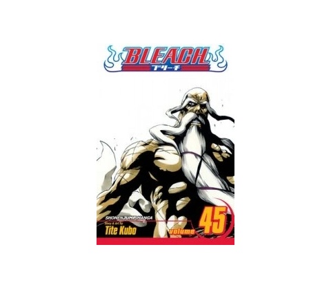 Bleach Kubo Tite