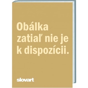 The Black Widow - Daniel Silva
