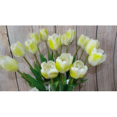 Topgifts Bielo-zelený tulipán CV07587 pogumovaný