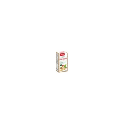 APOTHEKE NATUR Zázvorový čaj 18 x 2 g
