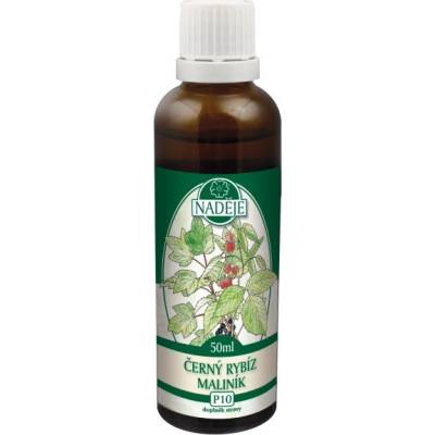 Naděje Ríbezľa malina tinktúra z púčikov P10 50 ml