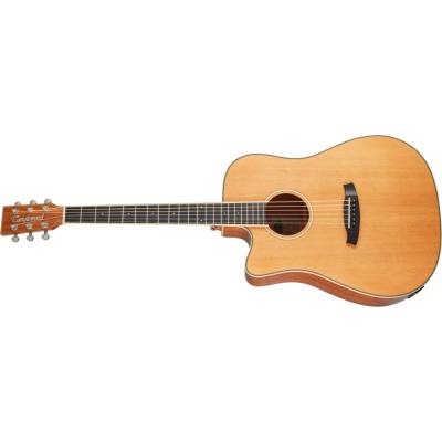 TANGLEWOOD TW5CE NA LH
