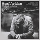 AVIDAN, ASAF - STUDY ON FALLING CD