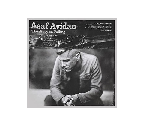 AVIDAN, ASAF - STUDY ON FALLING CD